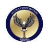 SLATINA Angajam agent distributie